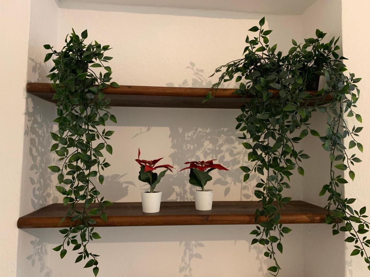 Apartament La Casa Di Ale Nel Centro Storico Di Cagliari Zewnętrze zdjęcie